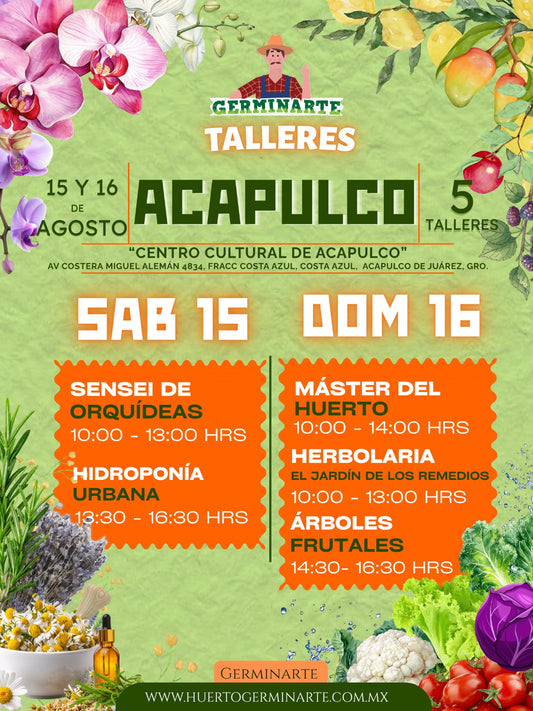 Acapulco 15 y 16 de Agosto