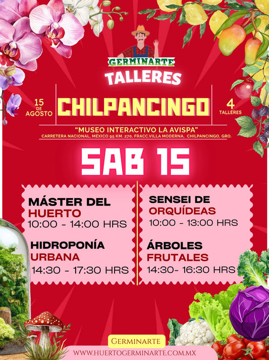 Chilpancingo 15 de agosto