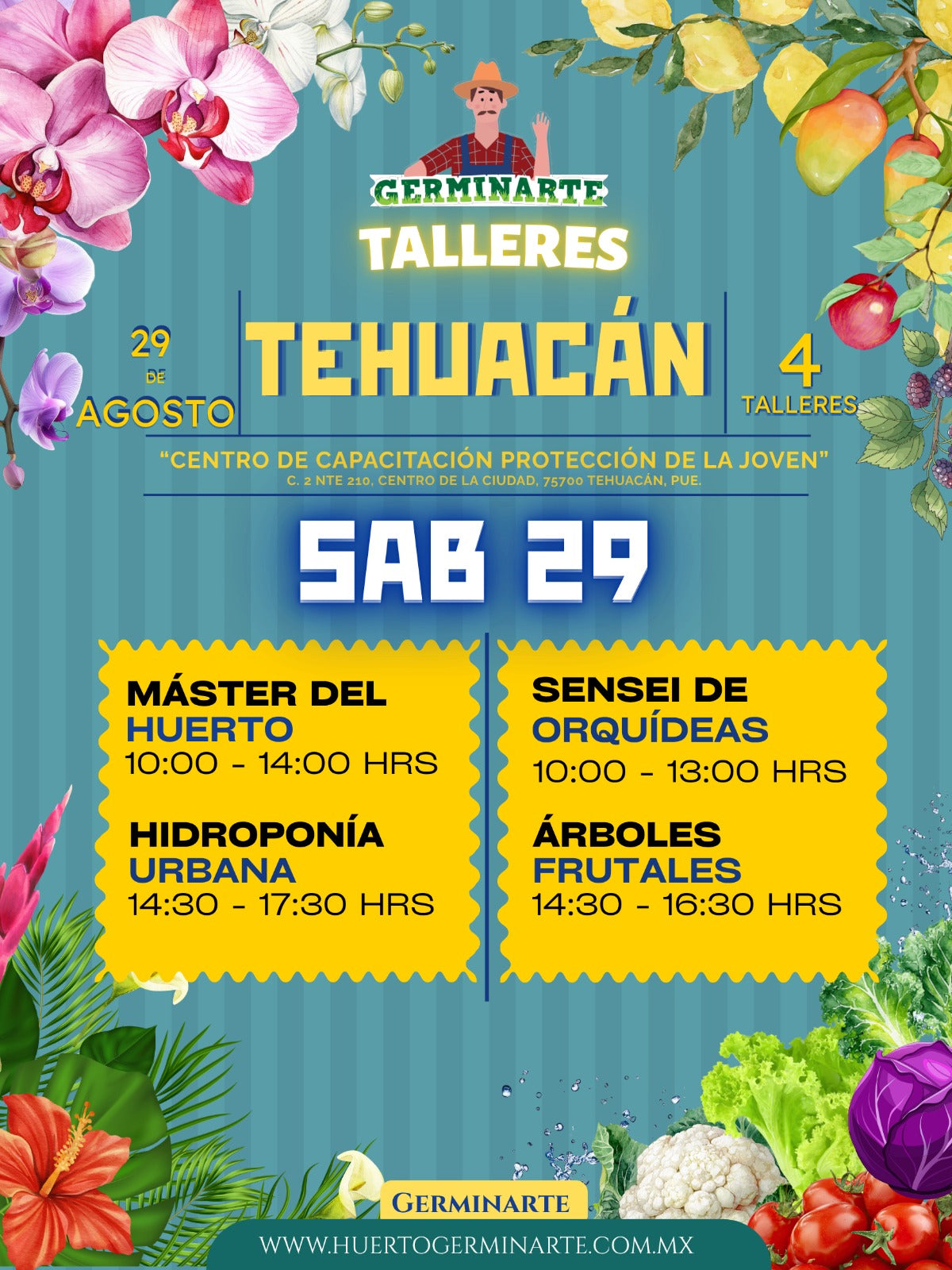 Tehuacán 29 de agosto