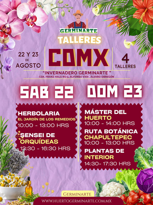 CDMX 22 Y 23 DE AGOSTO