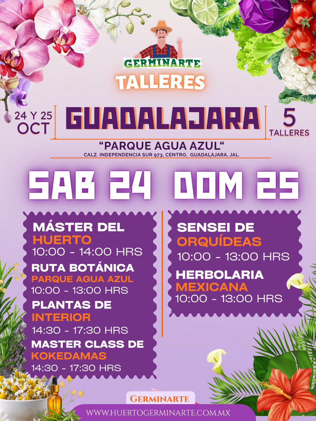 Guadalajara 24 y 25 de Octubre