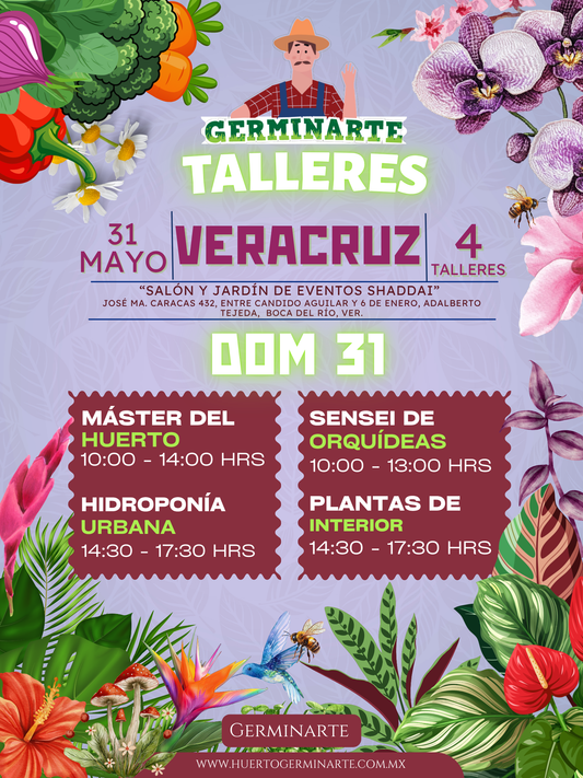 Veracruz 31 de Mayo