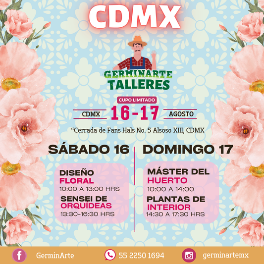 CIUDAD DE MÉXICO 16 Y 17 DE AGOSTO