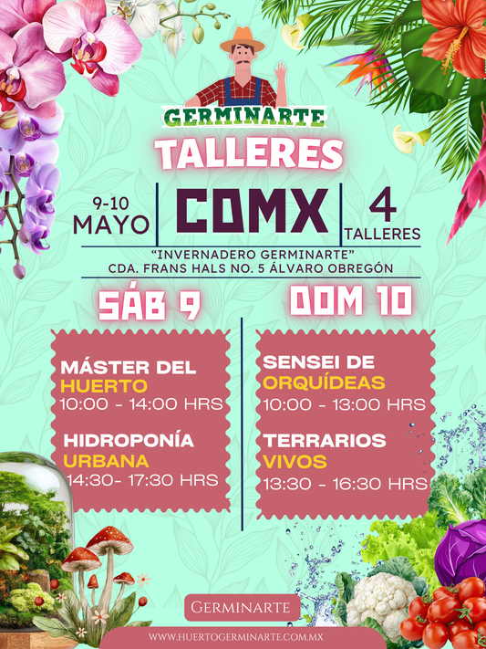 CDMX 9 Y 10 DE MAYO