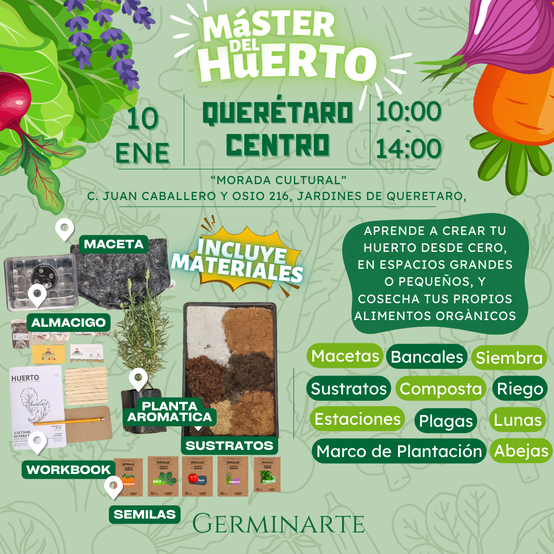 QUERÉTARO  10 Y 11 DE ENERO