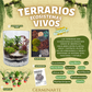 CUERNAVACA 1 Y 2 DE AGOSTO