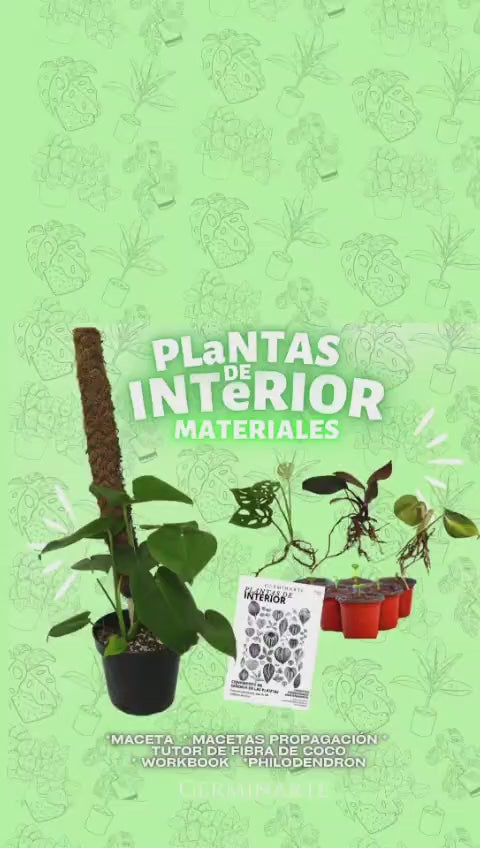 PLANTAS DE INTERIOR
