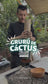 GURÚ DE CACTUS Y SUCULENTAS