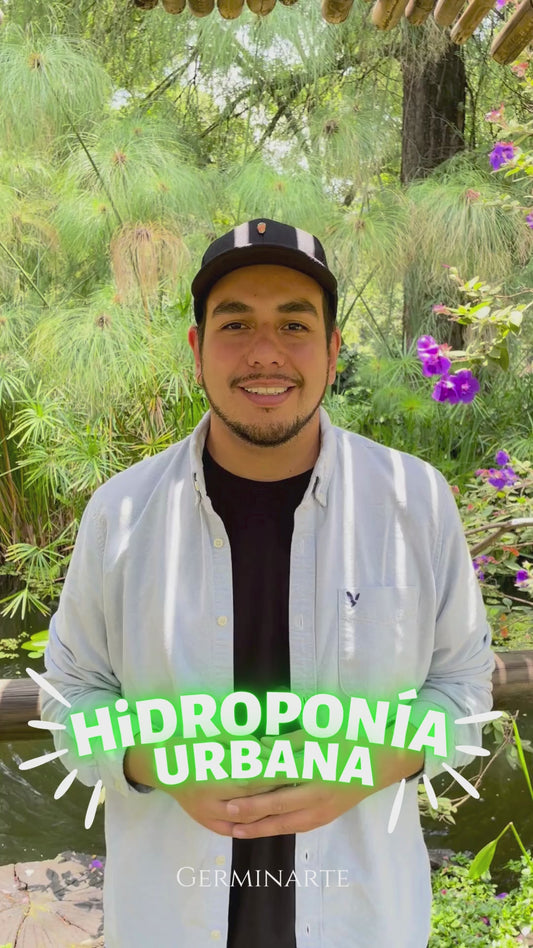 HIDROPONÍA URBANA