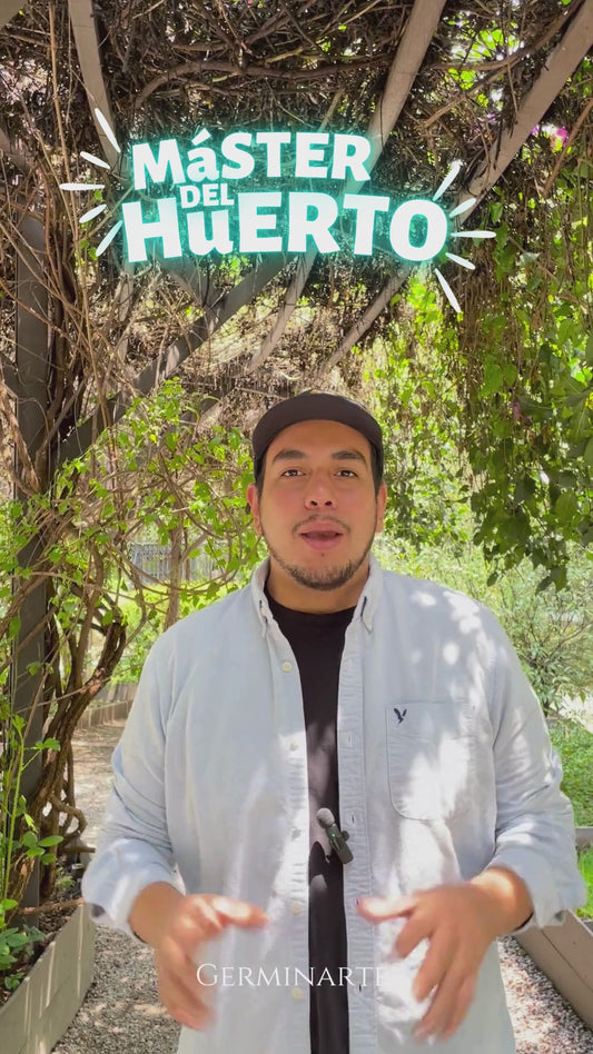 MÁSTER DEL HUERTO