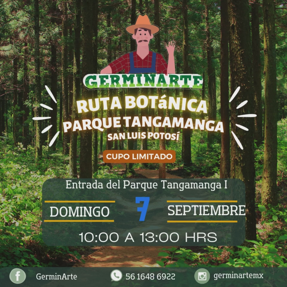 GUADALAJARA 4-5 Octubre 2025