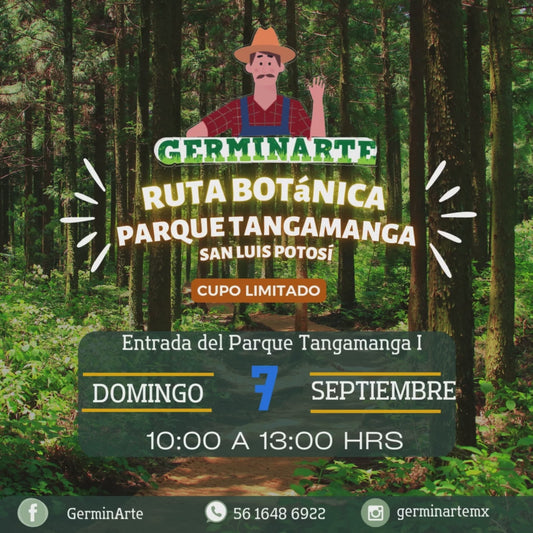 RUTA BOTÁNICA TANGAMANGA SLP  7 DE SEPTIEMBRE