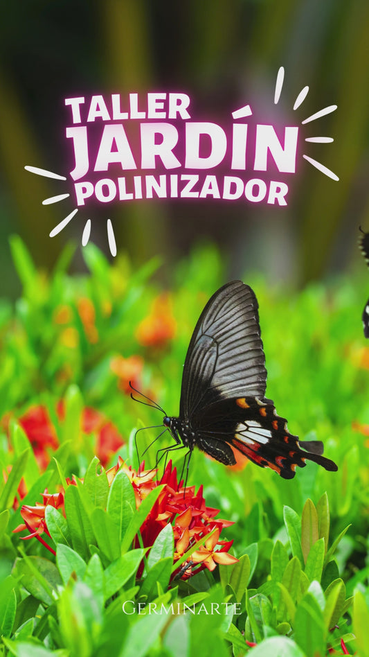 JARDÍN POLINIZADOR