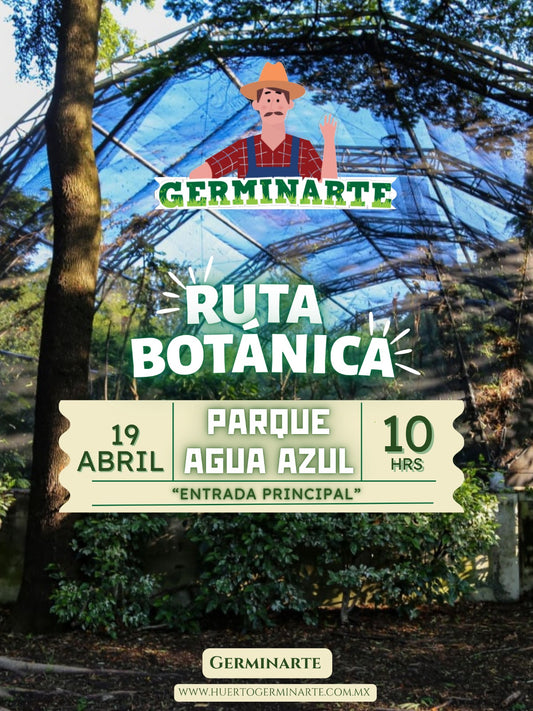 Ruta Botánica Parque Agua Azul
