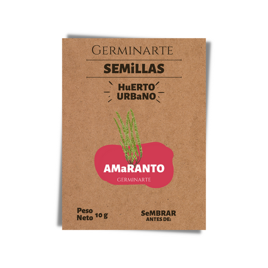Semilla Amaranto