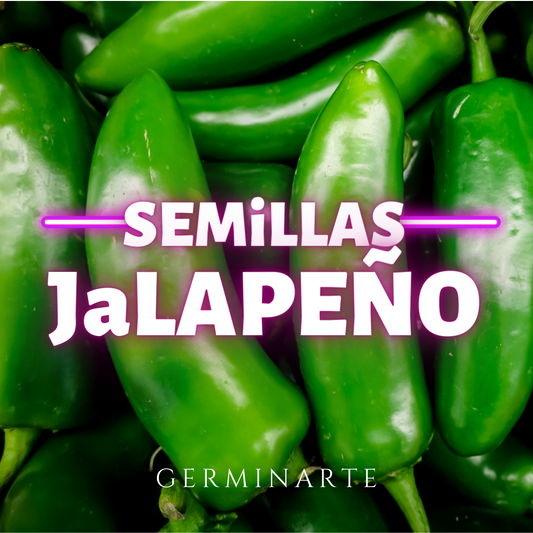 Semilla Jalapeño