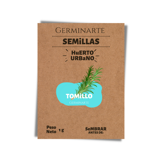 Semilla Tomillo