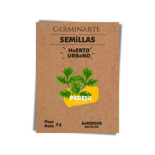 Semilla Perejil