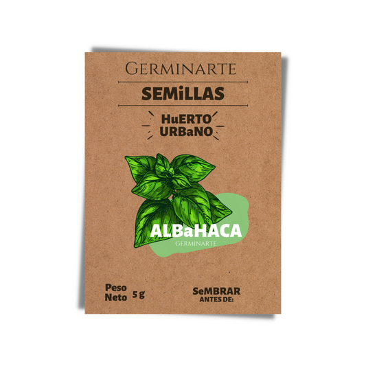 Semilla Albahaca