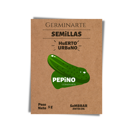 Semilla Pepino