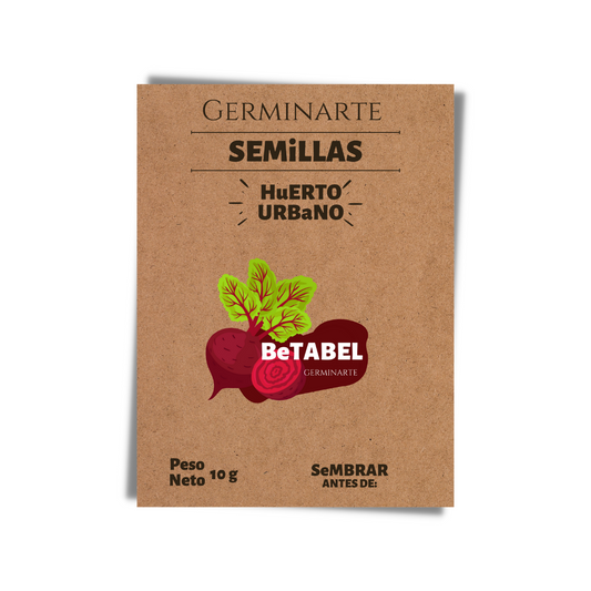 Semilla Betabel