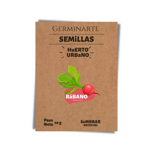 Semilla Rábano