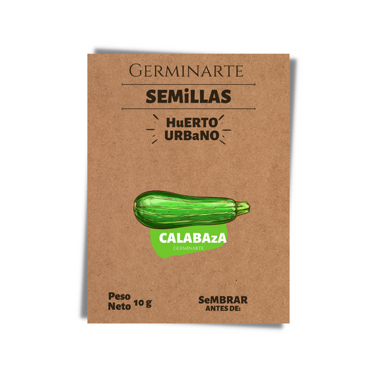 Semilla Calabaza Zucchini