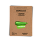 Semilla Calabaza Zucchini