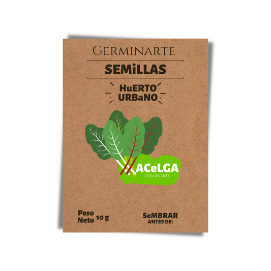 Semilla Acelga