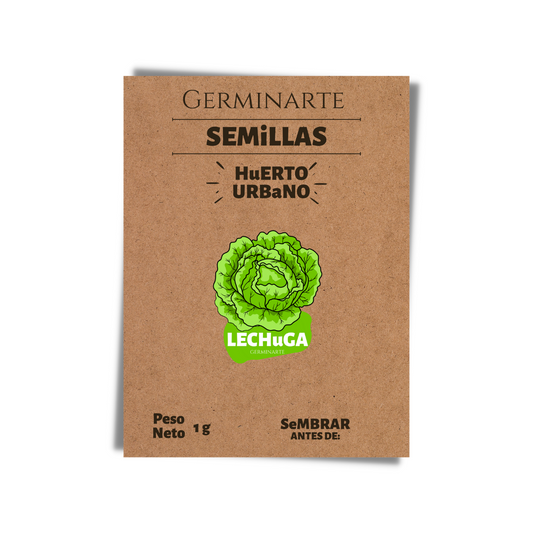 Semilla Lechuga