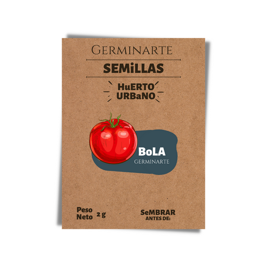 Semilla Tomate bola