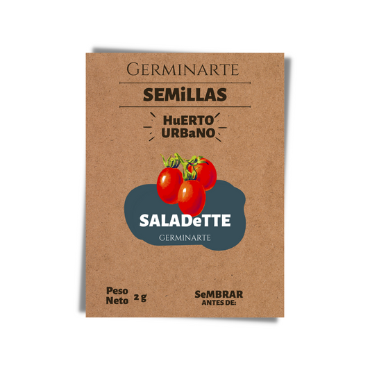 Tomate saladette