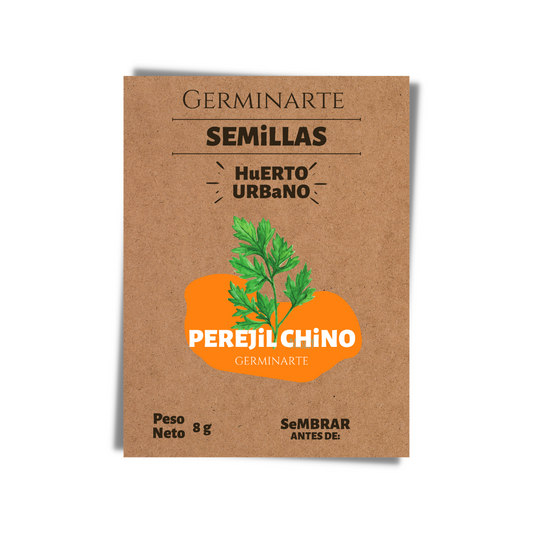 Semilla Perejil Chino