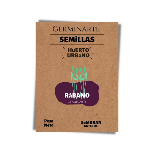 Semilla Microgreen Rábano Blanco