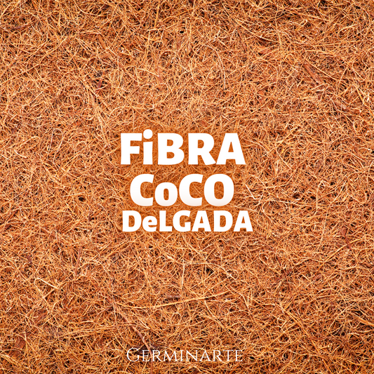 Fibra de Coco Delgado