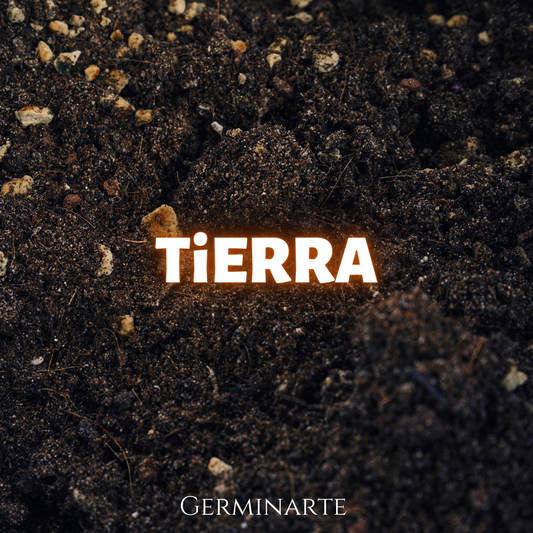 Tierra