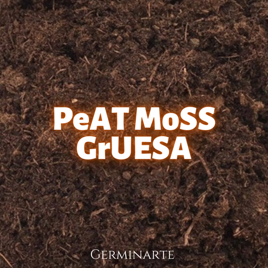 Peat moss Grueso