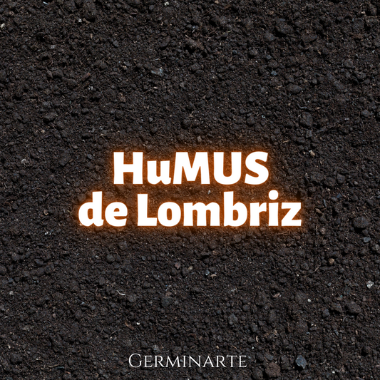 Humus de Lombriz